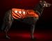 Illumiseen LED Dog Hunting Vest | Orange Safety Jacket with Reflective Strips & USB Rechargeable LED Lights | Increase Dog’s Visibility When Walking, Running, Training Outdoors (X-Large, Orange)