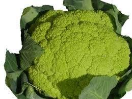 Golden Hills Farm® (AVG 500-2000) seeds Hybrid Cauliflower Seeds - Cauliflower (B08644BV6T) Amazon Price History, Amazon Price Tracker