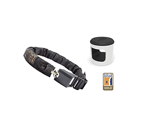 Hiplok Ankr+Gold #TOP24