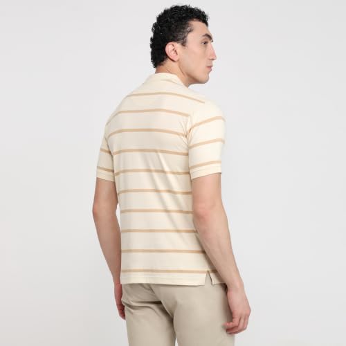 Image of Raymond Men Modern Fit Stripe Pattern Pure Cotton Polo Neck Half Sleeve Casual T-Shirt