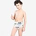 Potty Training Pants for Boys Girls, Learning Designs Training Underwear Pants (10 Packs, 2-4T, Blue)