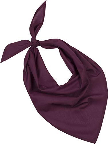 Bandanas de fiesta rojas para peñas y celebraciones en lote de 10 K-up