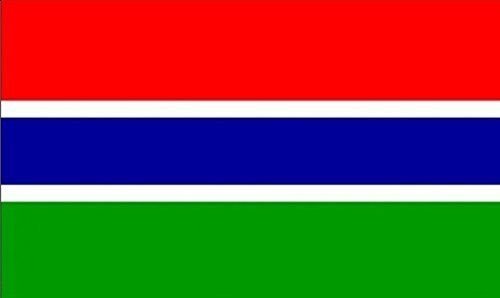 18" x 12" (45 x 30 cm) Gambia Gambian Sleeved Boat Courtesy 100% Polyester Material Hand Waving Flag Banner Ideal For Pub Club School Festival Business Party Decoration