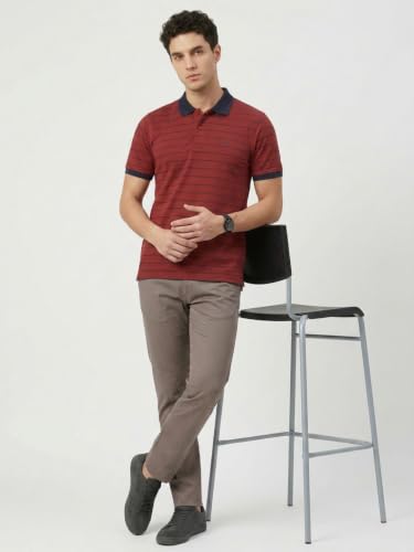 Image of Park Avenue Men Slim Fit Stripe Pattern Pure Cotton Polo Neck Half Sleeve Casual T-Shirt