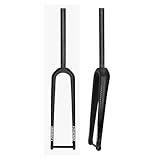 700C Horquilla Rígida De Bici De Carretera Gravel 28,6mm Horquilla Dura De Carbono Horquilla Delantera De Freno De Disco 9 * 100mm QR 12 * 100mm Eje Pasante(Thru Axle,Straight)