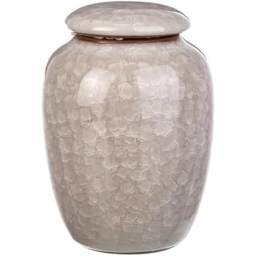 KQQKΑوDp~jٕp̏ȃZ~bNًLO菭ʂ̐lԂ̈DplԂƃybgِ̍▭ȃp^[̑yYAhEhI (zCg)