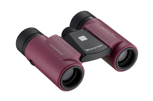 OM SYSTEM 8x21 RC II WP Prismáticos: compactos, Impermeables, diseño Plegable Ultraligero Ideal para Actividades al Aire Libre, Viajes y observación de la Naturaleza, 15 años de garantía.