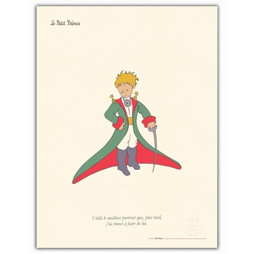 Oneart Poster affiche d'art (Le Petit Prince en habit de prince) - 30x40cm