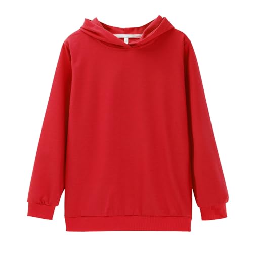 Toddler Boys Girls Sweatsuit 2 Piece Lightweight Soft Pullover Kids Hoodie and Jogger Pants Fall Breathable Athletic Outfits4