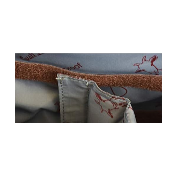 Gusti Kameratasche Leder - Cameron 17" Inlay Fototasche Spiegelreflex Tascheninlay Tascheneinsatz Größe-L Grau – Bild 6