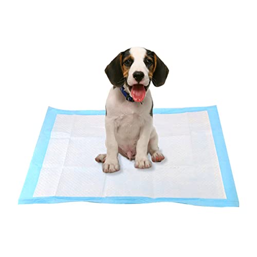 Tapetes Higiênicos Para Cachorro Pets Treinamento Para Cães e Gatos Descartável Absorvente Não Vaza