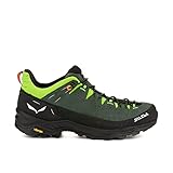 Salewa Herren Alp Trainer 2 Multisportschuhe Schwarz 9,5