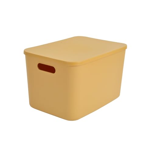 Homea, caja con tapa de plástico, 15,5 L, 35 x 25 x 21,5 cm, color ocre