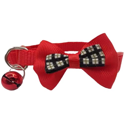 Plus Nao(vXiI) ybgp lR ˂ L Ck  ^ ybgpi obN { t \ 킢 L[g  - bh