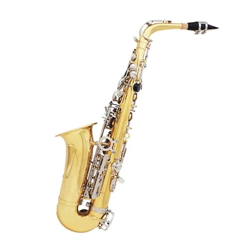 TbNX Eb AgTbNXdCjS[h E tbgTbNX~[WJ؊Ǌy탌U[P[X}EXs[X[h