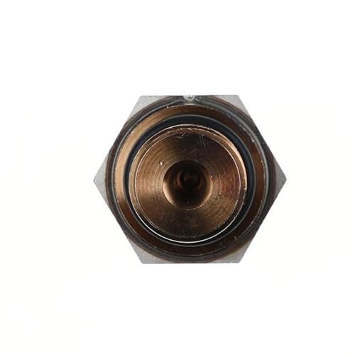 Capteur pression rampe injection 48PP31 haute précision pour ZX2005A - 3