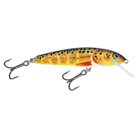 Salmo Minnow Wobbler Lure for Predatory Fish Cover