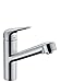 hansgrohe Küchenarmatur (Wasserhahn Küche 120° schwenkbar, hoher ausziehbarer Auslauf 150mm, Standardanschlüsse) Chrom