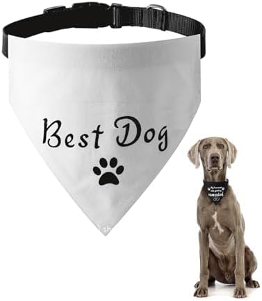 ̃XJ[t ̎ o_i OpXJ[t Lp߉\ o_i 悾 ꂩ킢 ybgpi XJ[t p[eB[ XO[~ OANZT[izCg M)