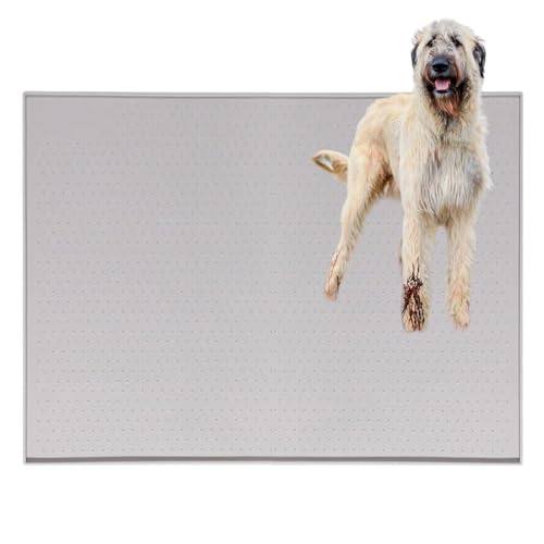 Lifetips ACbVEEtnEh gC}`FX^[eA ybggC}bg VR h ~ 􂦂  L V[gh~ g[p t[Oی ybggC}bg VR}bg ΍ gCV[gŒ