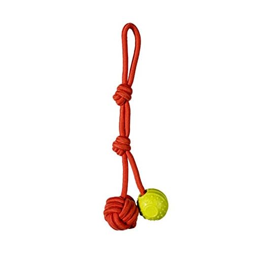Chase 'n Chomp Oscar Fetch-Tug Rope Dog Toy with Rope & TPR Ball, Small