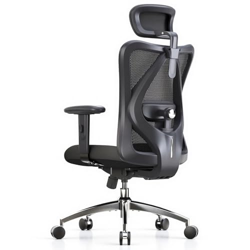 SIHOO M18 Ergonomic Office Chair, High Back Mesh Desk Chair...