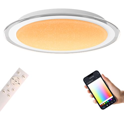 Ghettalinn LED Ceiling Light with Bluetooth Speaker