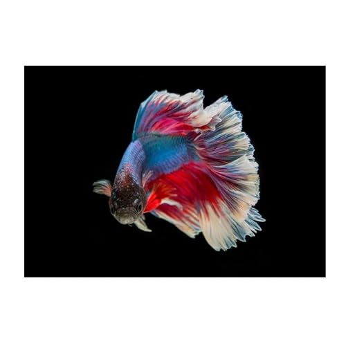 Pintura en lienzo de peces con impresión artística de alta definición para salones vivos 2