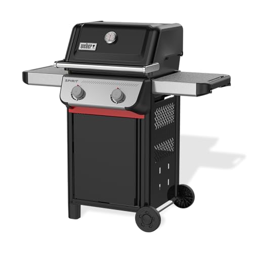 Weber Spirit E-210 Gasgrill, 2 Brenner, 51 x 46 cm Grillfläche...