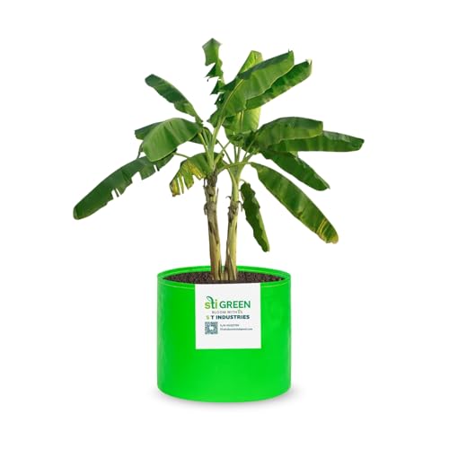 Image of HDPE Grow Bags for Plants 12X9 Inch (Pack of 1) | 260 GSM Heavy Duty UV-Protected Round Green Colour Plant Bags for Terrace and Vegetable Gardening | Strong & Reusable|