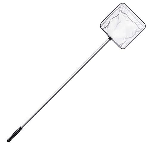 Kescher Teich Die 15 besten Produkte im Vergleich Die besten Angel