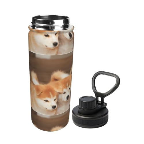  X|[c{g ^fMP[^C}O 킢 Č     500ml XeX  L[nht ^ѕ֗ RpNg ۉۗ