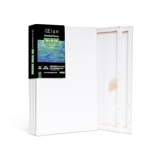 Elan Lienzos Preestirados 30x45, 6-PACK 100% Algodón Lienzos para Pintar Grandes, Canvas para Pintar, Lienzos Enmarcados, Tela Lienzos para Pintura, Tela Lienzo para Pintar Grande, Lienzos Blanco