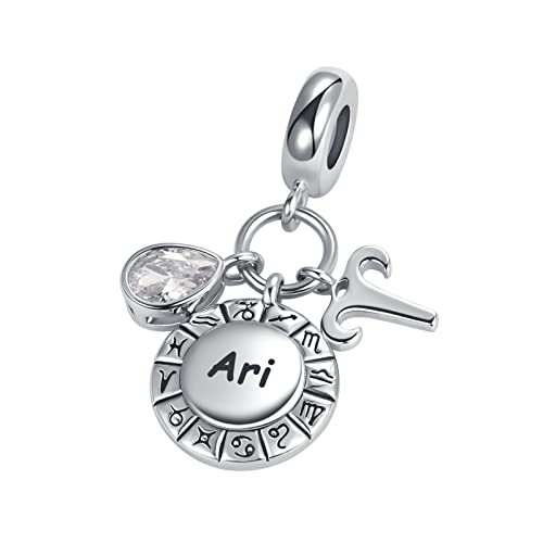 Zodiac 12 Constellation Charm Horoscope Sign Astrology Birthday Birthstone Charms For Pandora Charm Bracelets Necklac2