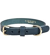 Amazon | [citydog/シティドッグ] クラシックレザーカラー 首輪 ｜ 犬