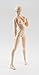 TAMASHII NATIONS Bandai S.H. Figuarts Woman DX Set