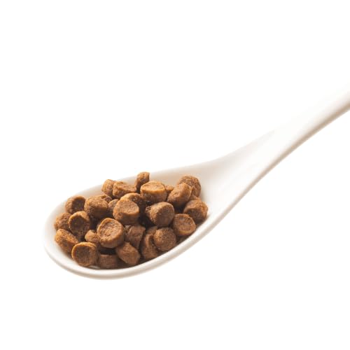 GranataPet Mini Royal Junior, Trockenfutter für Hunde, Hundefutter ohne Getreide & ohne Zuckerzusatz, Alleinfuttermittel für Welpen 1 kg