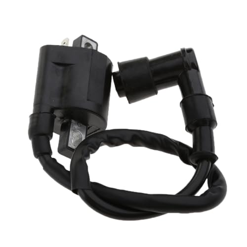 Bobina de encendido TW200 con interruptor y cable metálico de 300 mm para ATV 3