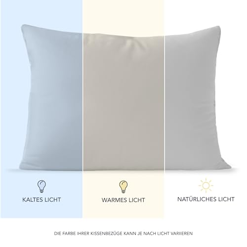 Dreamzie Set mit 2X Kissenbezüge Baumwolle 100% Jersey Baumwolle - Kissenhülle 2er Pack - Bettwäsche Doppelbett Kissenbezug - Kissen Schoner - Resistent und Hypoallergen (40 x 60 cm, Grau)