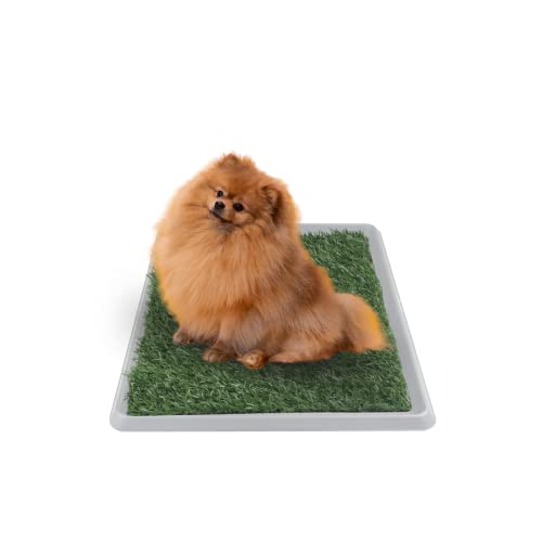 Catálogo para Comprar On-line Bandejas y rejillas los más solicitados. 48 Fancy Pets Tapete de Entrenamiento para Perros Doggie Grass | Pasto Sintético con Bandeja y Rejilla | XCH 50x40 cm