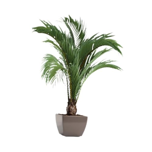 YUSSEQDD Pegatinas de pared con diseño de plantas verdes en 3D, diseño botánico, para sala estar, dormitorio, hojas, macetas, decoración del hogar