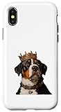 Appenzeller Sennenhund Hülle für iPhone X/XS