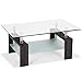 Tangkula Rectangle Glass Coffee Table, 2-Tier Tea Table w/Tempered Glass Tabletop & Stainless Steel Tube, Modern Center Side Table w/Wooden Legs & Lower Shelf, Glass End Table for Living Room