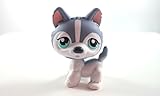 Husky #066 (Puzzle) (White, Grey Accents, Blue Eyes, Pink Ears) Littlest Pet Shop (Retired) Collector Toy - LPS Collectible Replacement Single Figure - Loose (OOP Out of Package & Print)
