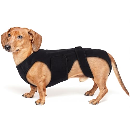 PURRLIA Back Brace for Dogs with Arthritis IVDD Mobility Back Brace for Pet Strong Dog Spine Stability Support Breathable & Adjustable for Joint & Hip Support Senior or Less Mobile Dogs Black S