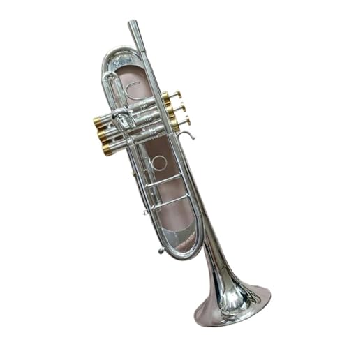Instrumento De Trompeta Trompeta Bc TR-197GS Trompeta Chapada En Plata Instrumento Musical Pequeño De...