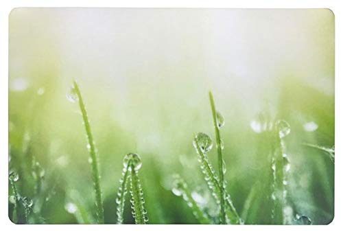 Schreibtischunterlage Gras mit Tau/Tropfen grün 40 x 60 cm abwischbar