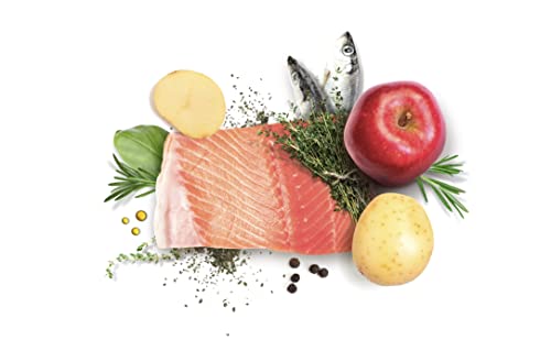 Dibaq Sense Grain Free Salmon Mini Pienso Perro 6 kg - Imagen 3