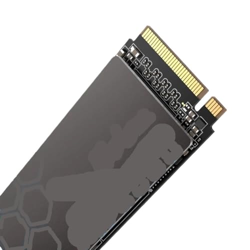 Netac M.2 2280 NVMe SSD�A250GB�`2TB�A���b�v�g�b�v�E�f�X�N�g�b�v�pPCIe 3.0�����h���C�u�ƌ݊�������(2TB)
