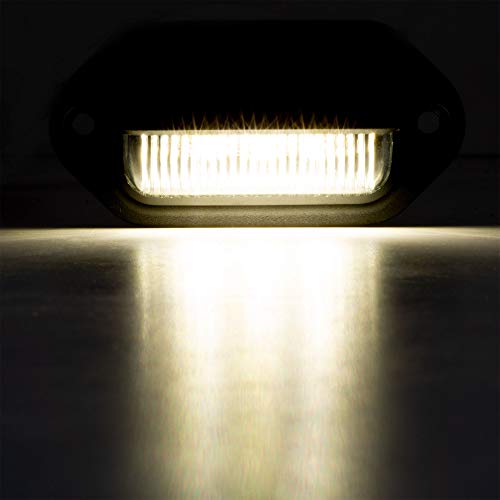 Luz LED para Placa de Matrícula LONG HAUL 2 Pack miniatura 4